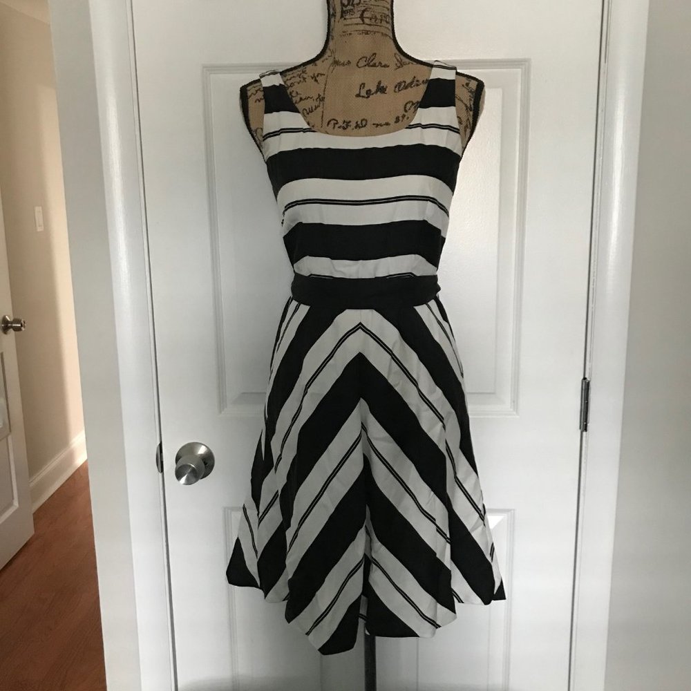 Ann Taylor Wide Stripe Fit and Flare Dress